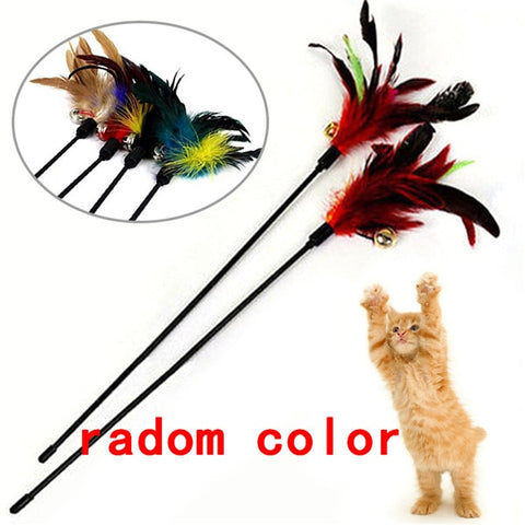 Funny Feather Spring Kitten Cat Toy Feather Rod Teaser Bell Bead Play Pet Wand Teasing with Colored Beads freeshipping