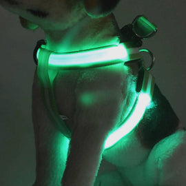 Rechargeable LED Nylon Pet Dog Cat Harness Led Flashing Light Harness Collar Pet Safety Led Leash Rope Belt Dog Accessories